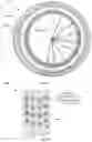 Fig. 10 - Solar system for energy production