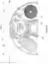 Fig. 03 - Clutch assembly