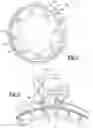 Fig. 03 - Fluid routing within a clutch