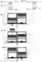Fig. 02 - Fluidic valve device