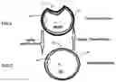 Fig. 02 - Non-Bursting Pipe and Method of Manufacturing Same
