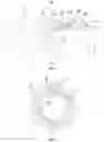 Fig. 02 - Pipe fitting joint assembly