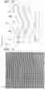 Fig. 14 - LIGHT-DIFFUSION MEMBER AND DAYLIGHTING DEVICE