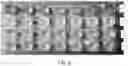 Fig. 04 - Lighting systems and devices with central silicone module