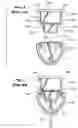 Fig. 03 - Connector system for lighting assembly