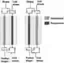 Fig. 01 - Process for producing biomethane from a biogas stream, comprising solidification of the impurities