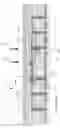 Fig. 03 - Test of operational status of a digital scanner during lithographic exposure process