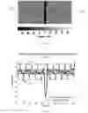 Fig. 10 - Test of operational status of a digital scanner during lithographic exposure process