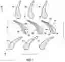Fig. 11 - System and method for measuring clearance gaps between rotating and stationary components of a turbomachine
