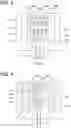 Fig. 03 - Position sensor