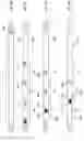 Fig. 10 - Methods and apparatuses for acoustic detection using temporary Brillouin gratings