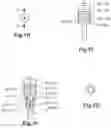 Fig. 03 - Wireless temperature probe