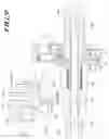 Fig. 10 - Vehicle steering apparatus
