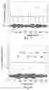 Fig. 07 - METHOD AND DEVICE FOR ESTIMATING THE STATE OF WEAR OF A JOURNAL BEARING