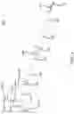 Fig. 05 - Liquid vaporization device and method
