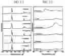 Fig. 03 - Method to predict downhole reservoir fluids interfacial tension