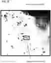 Fig. 09 - Fluid suspended particle classifier