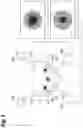 Fig. 04 - Observation container and microparticle measurement device