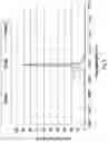 Fig. 10 - Optical Detecting Apparatus