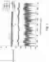 Fig. 02 - System for detecting non-metallic, non-aqueous substances in an aqueous sample, a corresponding unit and a corresponding method