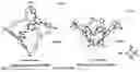 Fig. 03 - Method for identifying molecular structure