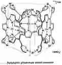 Fig. 27 - Method for identifying molecular structure