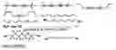 Fig. 30 - Method for identifying molecular structure