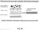 Fig. 17 - ELECTROCHEMICAL ASSAY FOR THE DETECTION OF OPIOIDS