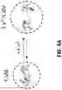 Fig. 17 - Optical imaging of single molecule size, charge, mobility, binding and conformational change