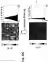 Fig. 37 - Optical imaging of single molecule size, charge, mobility, binding and conformational change