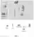 Fig. 02 - IODIDE DETECTION IN BLOOD PLASMA SAMPLES