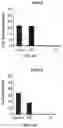 Fig. 11 - Dynamic BH3 profiling