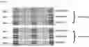 Fig. 08 - ASSAY