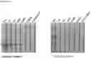 Fig. 17 - ASSAY