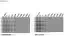 Fig. 23 - ASSAY