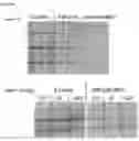 Fig. 26 - ASSAY