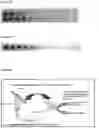 Fig. 27 - ASSAY
