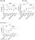 Fig. 123 - Blood profiling with protease inhibitors