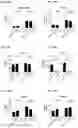 Fig. 133 - Blood profiling with protease inhibitors