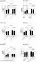 Fig. 135 - Blood profiling with protease inhibitors