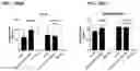 Fig. 138 - Blood profiling with protease inhibitors