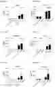Fig. 139 - Blood profiling with protease inhibitors