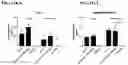 Fig. 145 - Blood profiling with protease inhibitors