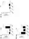 Fig. 20 - Blood profiling with protease inhibitors