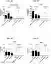 Fig. 227 - Blood profiling with protease inhibitors