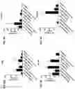 Fig. 27 - Blood profiling with protease inhibitors