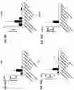 Fig. 33 - Blood profiling with protease inhibitors