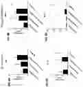 Fig. 56 - Blood profiling with protease inhibitors