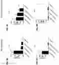 Fig. 57 - Blood profiling with protease inhibitors