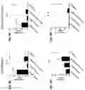 Fig. 70 - Blood profiling with protease inhibitors